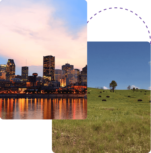 Why choose us - Professional team collaboration